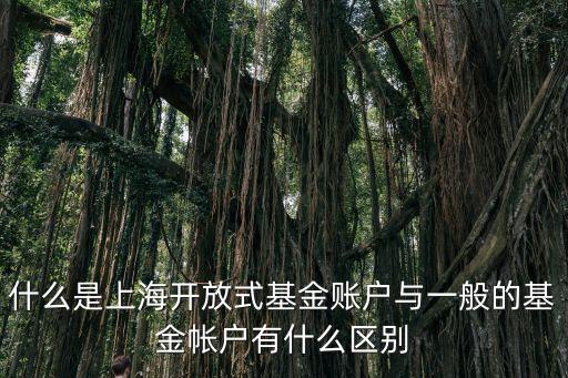 什么是上海開放式基金賬戶與一般的基金帳戶有什么區(qū)別