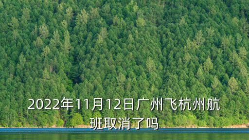 2022年11月12日廣州飛杭州航班取消了嗎