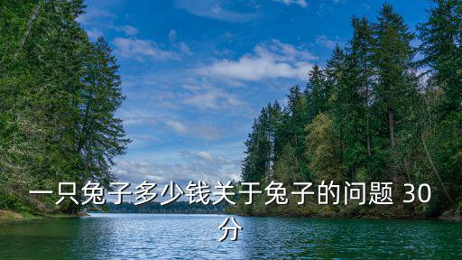 寵物兔一只要多少錢，小白兔多少錢1只