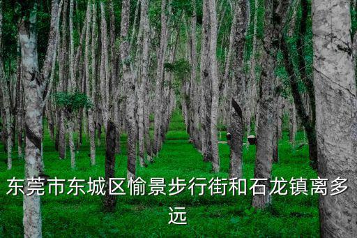 東莞市東城區愉景步行街和石龍鎮離多遠