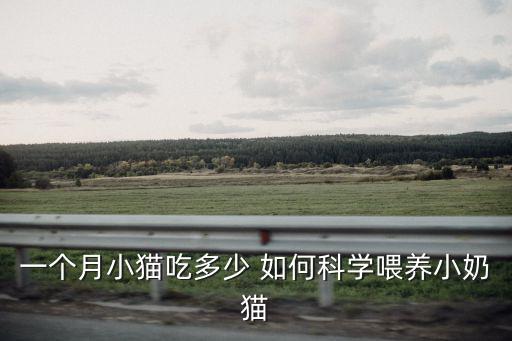 一個月小貓吃多少 如何科學喂養小奶貓