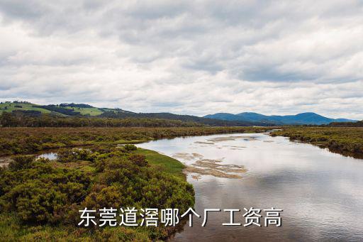 東莞道滘哪個廠工資高