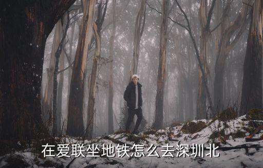 在愛聯(lián)坐地鐵怎么去深圳北