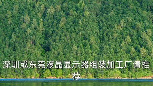 東莞東顯電子，深圳或東莞液晶顯示器組裝加工廠請推薦