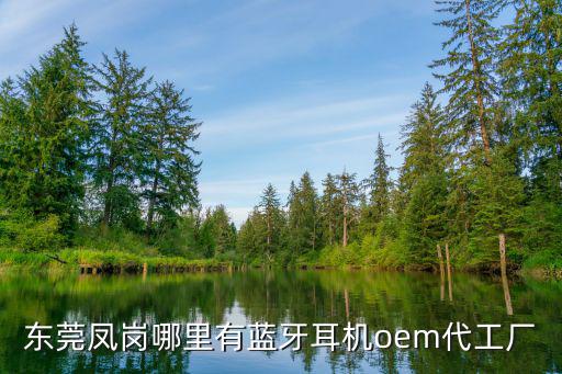東莞鳳崗哪里有藍牙耳機oem代工廠