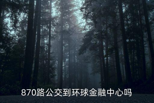 870路公交到環(huán)球金融中心嗎