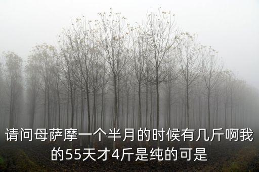 三個月薩摩耶多少斤，請問下薩摩三個月大一半大概有多長多高體重多少 該怎么養