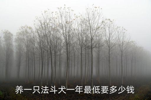 養一只法斗犬一年最低要多少錢