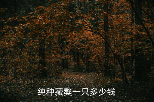 純種藏獒一只多少錢