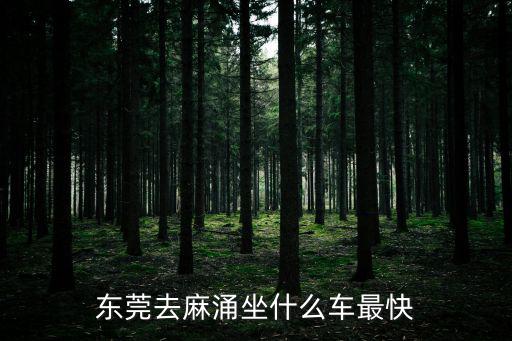 東莞去麻涌坐什么車最快