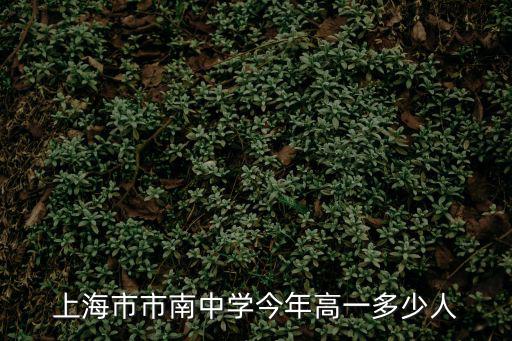 上海市市南中學(xué)有多大，上海市市南中學(xué)今年高一多少人