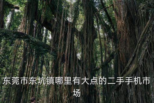 東莞市東坑鎮(zhèn)哪里有大點的二手手機市場