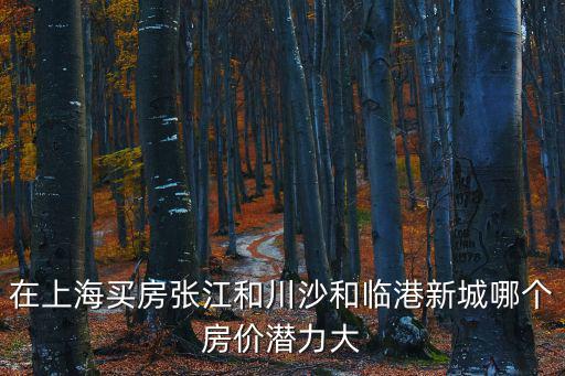 在上海買房張江和川沙和臨港新城哪個房價潛力大
