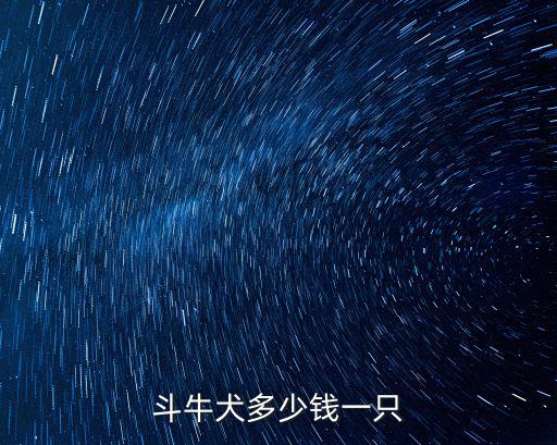 斗牛犬多少錢一只