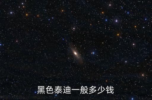 黑灰色泰迪多少錢(qián)，黑色泰迪一般多少錢(qián)