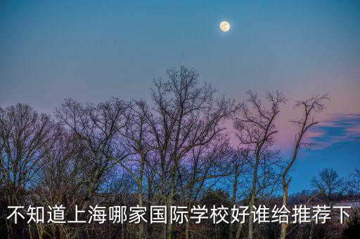 不知道上海哪家國(guó)際學(xué)校好誰(shuí)給推薦下