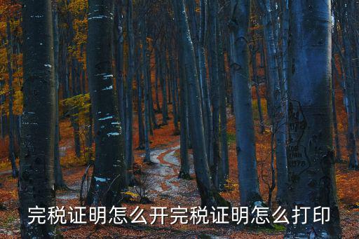 完稅證明怎么開完稅證明怎么打印