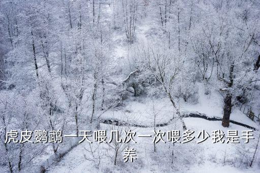 虎皮鸚鵡一天喂幾次一次喂多少我是手養
