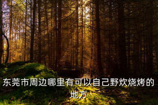 東莞市周邊哪里有可以自己野炊燒烤的地方