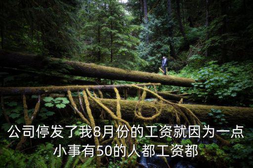 公司停發了我8月份的工資就因為一點小事有50的人都工資都