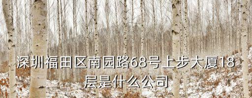 深圳福田區(qū)南園路68號(hào)上步大廈18層是什么公司