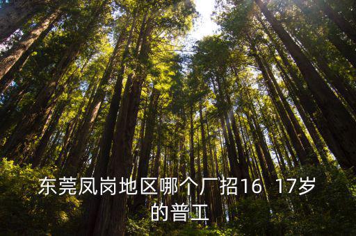 東莞鳳崗地區哪個廠招16  17歲 的普工