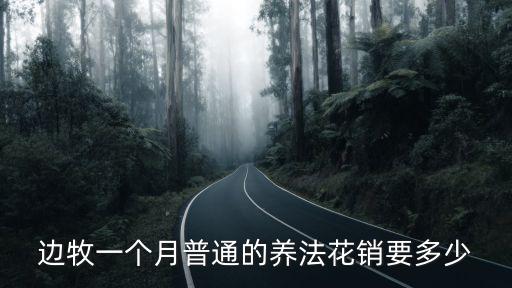 邊牧一個月普通的養(yǎng)法花銷要多少