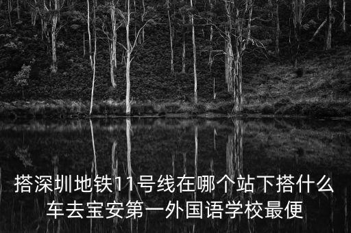 搭深圳地鐵11號(hào)線在哪個(gè)站下搭什么車去寶安第一外國(guó)語(yǔ)學(xué)校最便