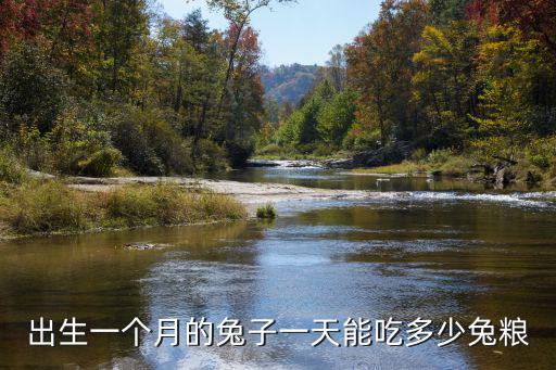 出生一個(gè)月的兔子一天能吃多少兔糧
