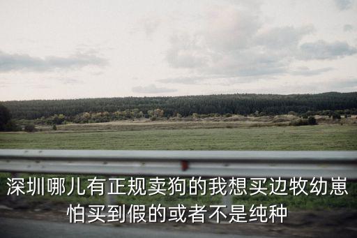 深圳哪兒有正規賣狗的我想買邊牧幼崽怕買到假的或者不是純種