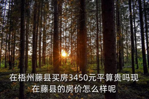 在梧州藤縣買房3450元平算貴嗎現在藤縣的房價怎么樣呢