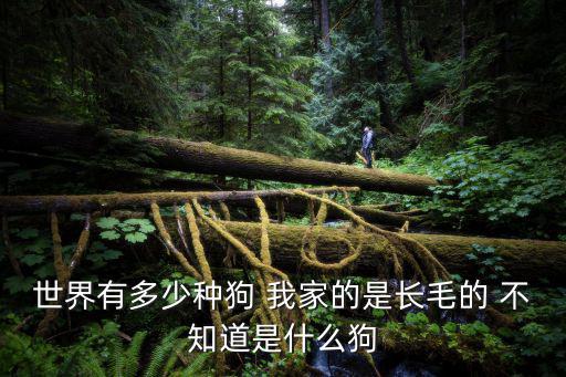 有多少叫毛毛的狗，世界有多少種狗 我家的是長毛的 不知道是什么狗