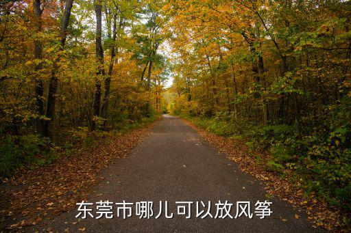 東莞市哪兒可以放風箏