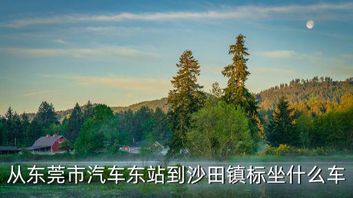 從東莞市汽車東站到沙田鎮標坐什么車