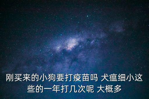 剛買來的小狗要打疫苗嗎 犬瘟細(xì)小這些的一年打幾次呢 大概多