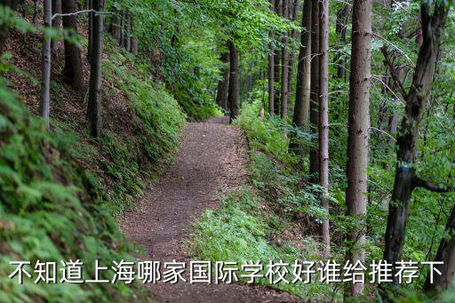 不知道上海哪家國際學校好誰給推薦下