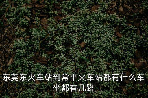 東莞東火車站到常平火車站都有什么車坐都有幾路