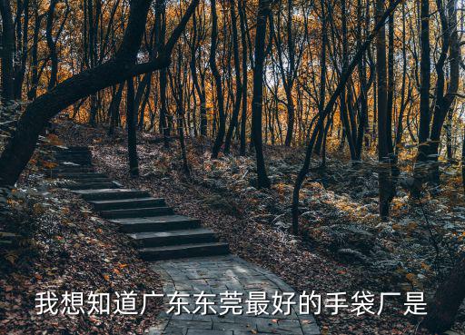 我想知道廣東東莞最好的手袋廠是