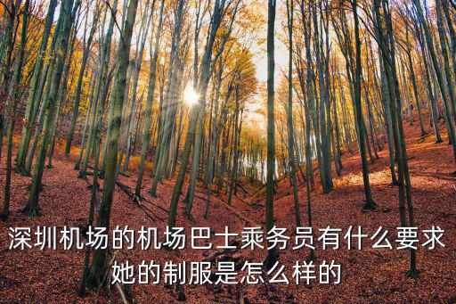 深圳機(jī)場旅客穿太空服，深圳機(jī)場的機(jī)場巴士乘務(wù)員有什么要求她的制服是怎么樣的