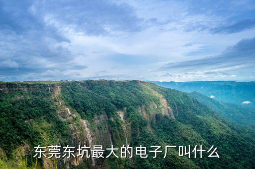 東莞東坑最大的電子廠叫什么