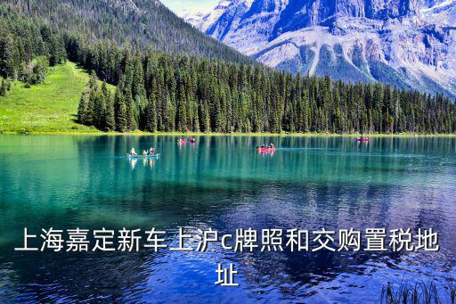 上海嘉定新車上滬c牌照和交購置稅地址