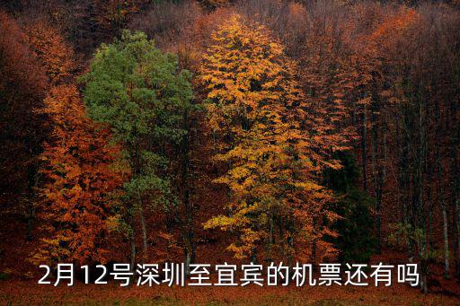 2月12號(hào)深圳至宜賓的機(jī)票還有嗎
