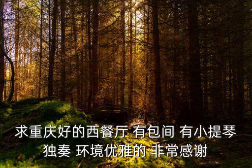 重慶市渝中區譚進文街頭牛排，重慶渝中區解放碑附近吃牛排的地方 不要太遠 本人路癡 最好附帶