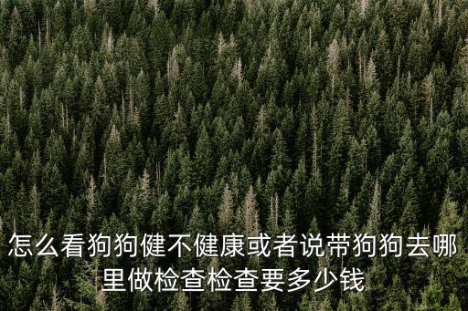 幼犬檢查健康要多少，在南寧給小狗做健康檢查多少錢