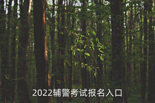 2022輔警考試報名入口