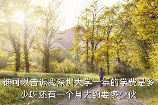 誰可以告訴我深圳大學一年的學費是多少呀還有一個月大約要多少伙