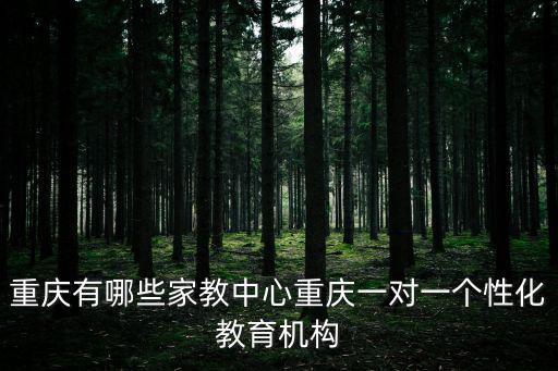 重慶有哪些家教中心重慶一對一個性化教育機構(gòu)