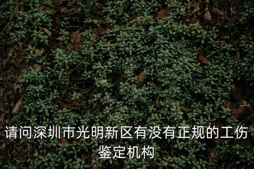 深圳市光明區建筑工務署黎偉光，請問深圳市光明新區有沒有正規的工傷鑒定機構