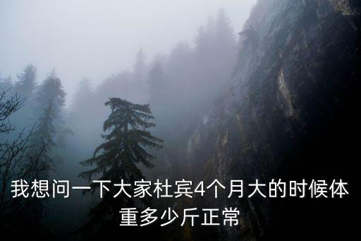 四個(gè)月杜賓喂多少，四個(gè)月的貴賓每天該吃多少