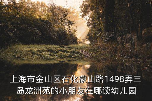 上海市金山區石化蒙山路1498弄三島龍洲苑的小朋友在哪讀幼兒園